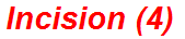 Incision (4)