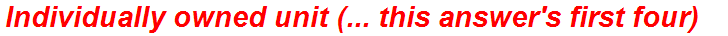 Individually owned unit (... this answer's first four)