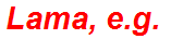 Lama, e.g.