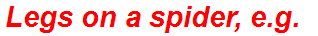 Legs on a spider, e.g.