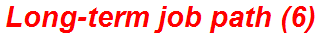 Long-term job path (6)