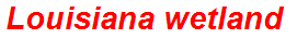 Louisiana wetland