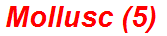 Mollusc (5)