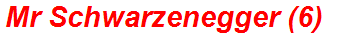Mr Schwarzenegger (6)