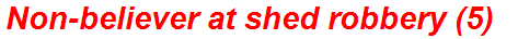 Non-believer at shed robbery (5)