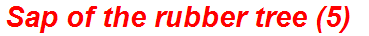 Sap of the rubber tree (5)