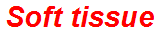 Soft tissue