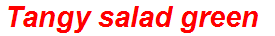 Tangy salad green
