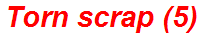 Torn scrap (5)