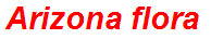 Arizona flora