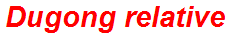 Dugong relative