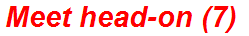 Meet head-on (7)
