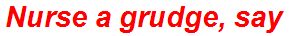 Nurse a grudge, say