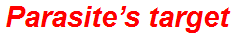 Parasite’s target
